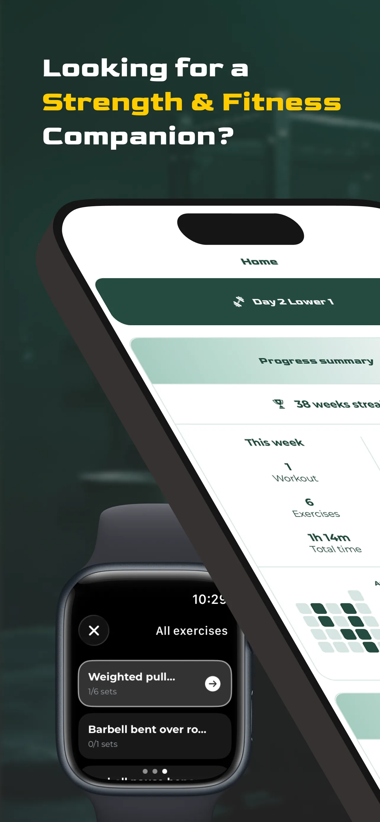 Virtus Athlete strength and fitness companion overview